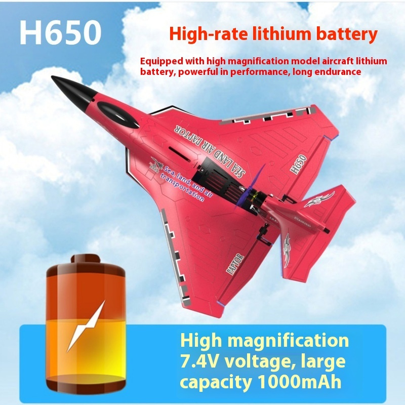 Rc Wing Glider - H650 Großes RC-Flugzeug, wasserdicht und sturzfest,